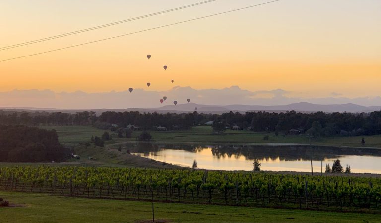 Hot Air Balloons over Mount Eyre Vineyards