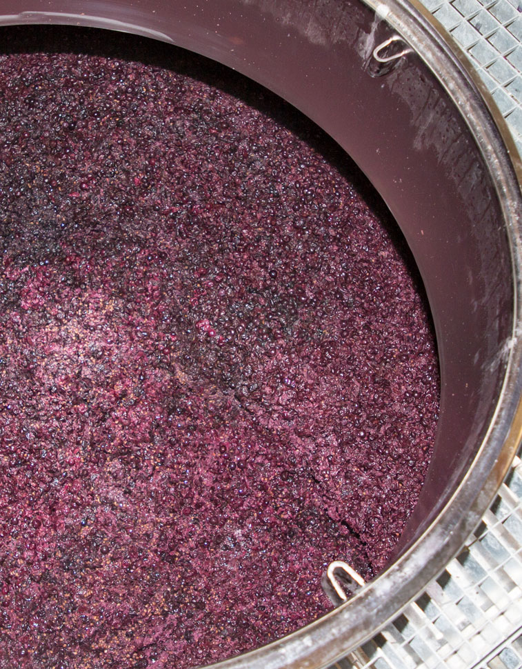 Fermenting wine